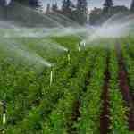 پاورپوینت کشاورزی آبیاری بارانی